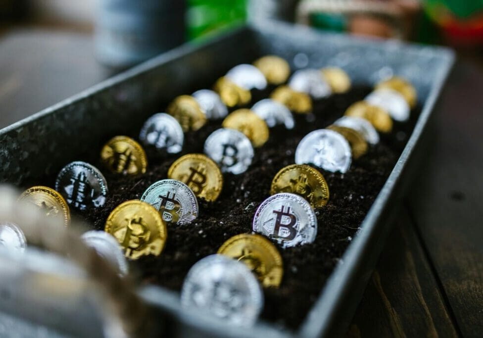 bitcoin_coins_in_soil-scaled